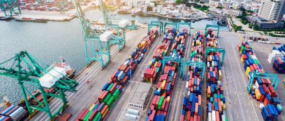 Marine Container Terminal Management