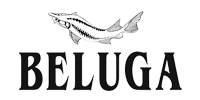 BELUGA GROUP (Synergy)