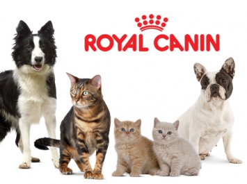 «Облачная» Solvo.WMS управляет складами готовой продукции Royal Canin в Краснодаре и Ростове-на-Дону