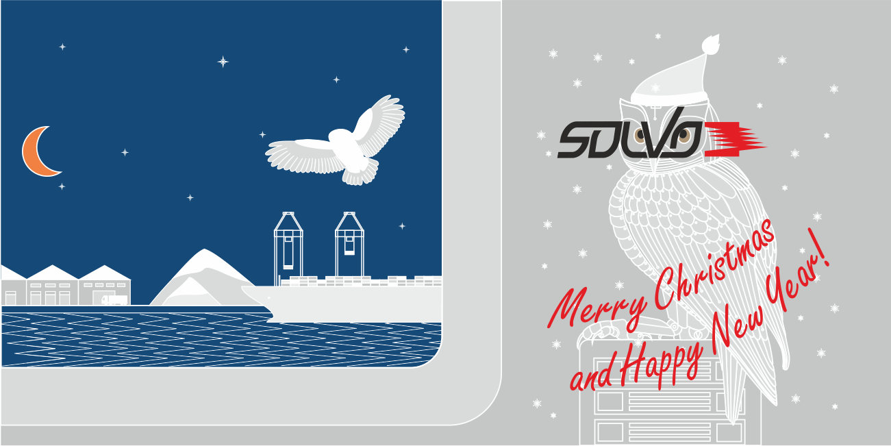 Merry Christmas & Happy New Year 2020 from SOLVO team