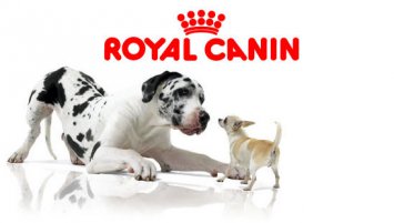 Royal Canin доверяет «СОЛВО»  филиал «Минский»