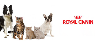 «Облачная» Solvo.WMS управляет складами готовой продукции Royal Canin в Краснодаре и Ростове-на-Дону