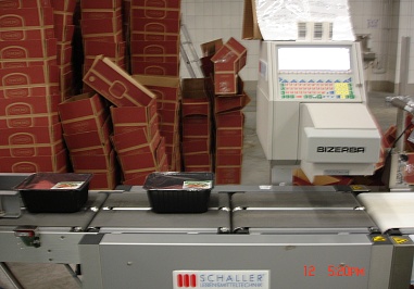 Food production