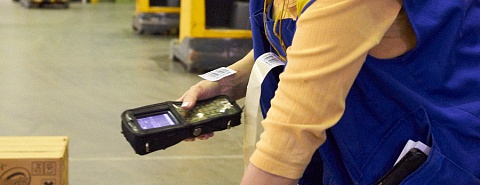 Bee Logistic - Санкт-Петербург